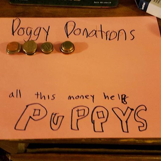 Doggy_Donations